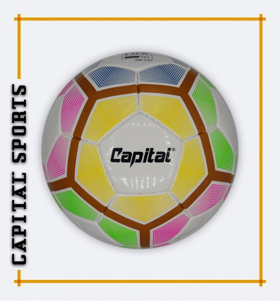 CAPITAL COSMOS OHIO CAPITAL COSMOS OHIO