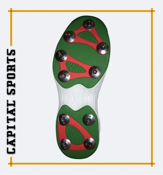 Cricket Shoes